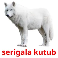 14 Free Arctic animals Flashcards in indonesian PDF files 